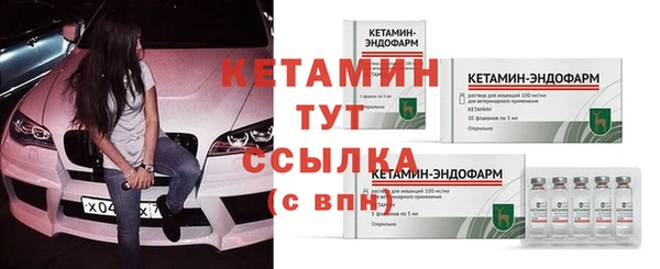 прущие грибы Лиски
