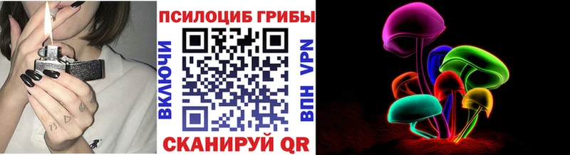 купить  сайты  Ноябрьск  Псилоцибиновые грибы Psilocybe 